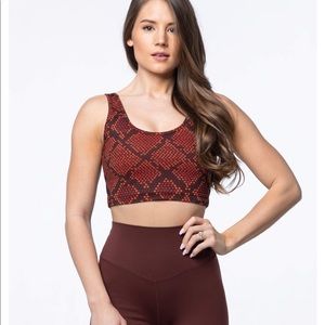 The Kingdom Collection - Ascend Top in Copperhead